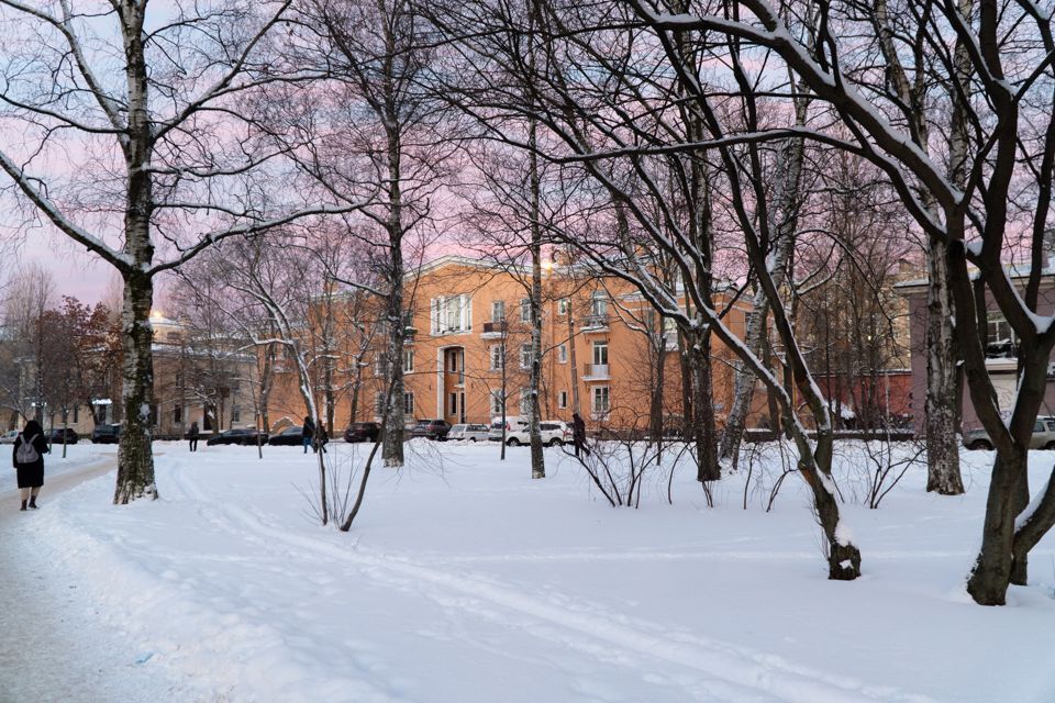 комната г Санкт-Петербург ул Елецкая 9д Выборгский фото 2