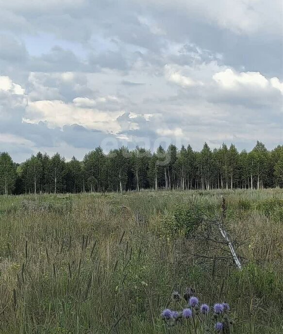 земля р-н Томский д Петровский Участок р-н мкр Петровский парк фото 2