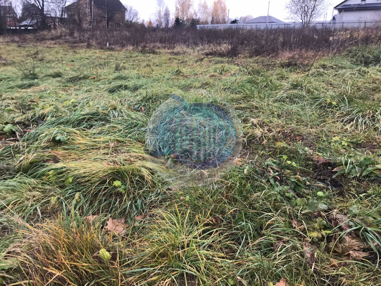 земля городской округ Пушкинский Папертники-2 тер., Ярославское шоссе фото 28