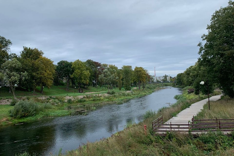 квартира р-н Лужский г Луга ул Миккели 1/2 фото 5