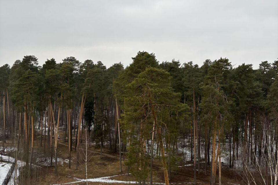 квартира городской округ Пушкинский г Красноармейск ул Новая Жизнь 8 фото 9