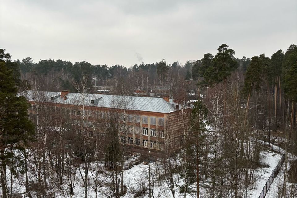 квартира городской округ Пушкинский г Красноармейск ул Новая Жизнь 8 фото 10