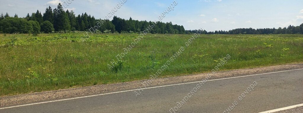 офис городской округ Можайский д Андреевское фото 3