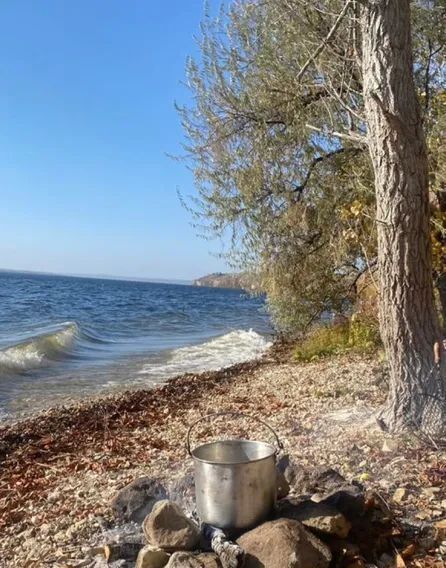 дом р-н Сызранский с Переволоки пер Волжский 20 Междуреченск городское поселение фото 31