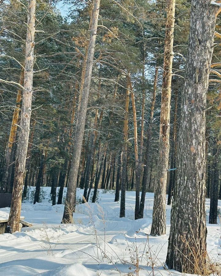 дом р-н Искитимский с Завьялово ул Атамановская 6 Быстровский сельсовет, Верх-Ирмень фото 5