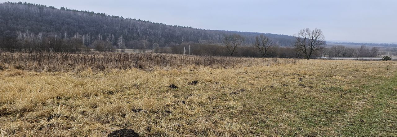 офис городской округ Луховицы с Городна фото 2