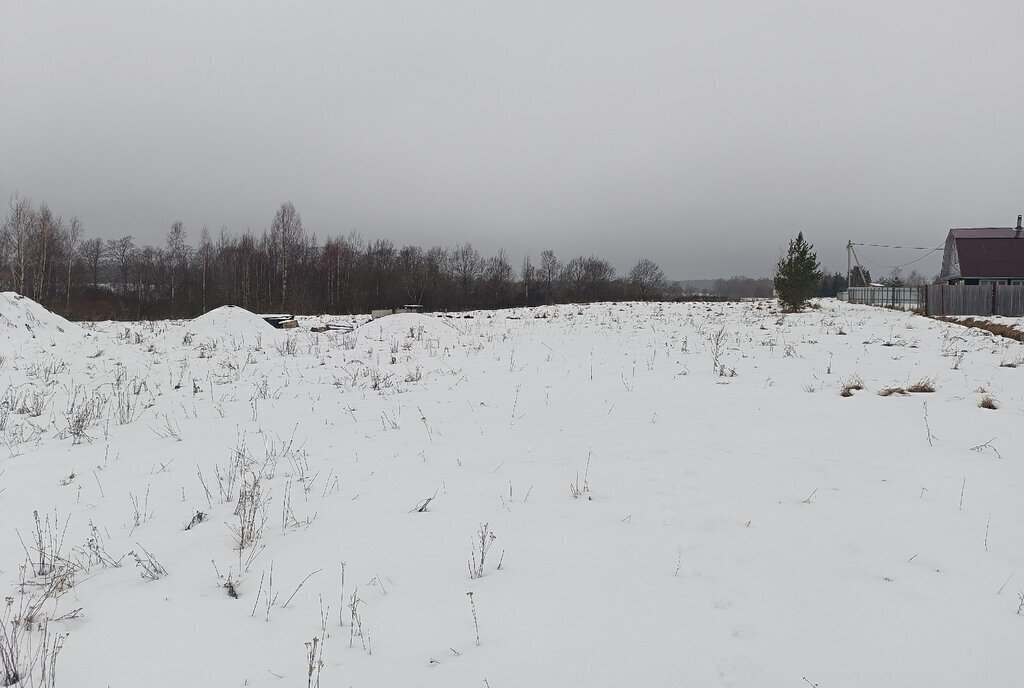 земля р-н Новгородский д Орлово ул Андреевская Борковское сельское поселение фото 1