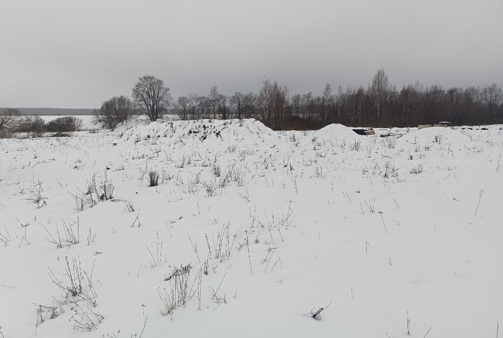 земля р-н Новгородский д Орлово ул Андреевская Борковское сельское поселение фото 11