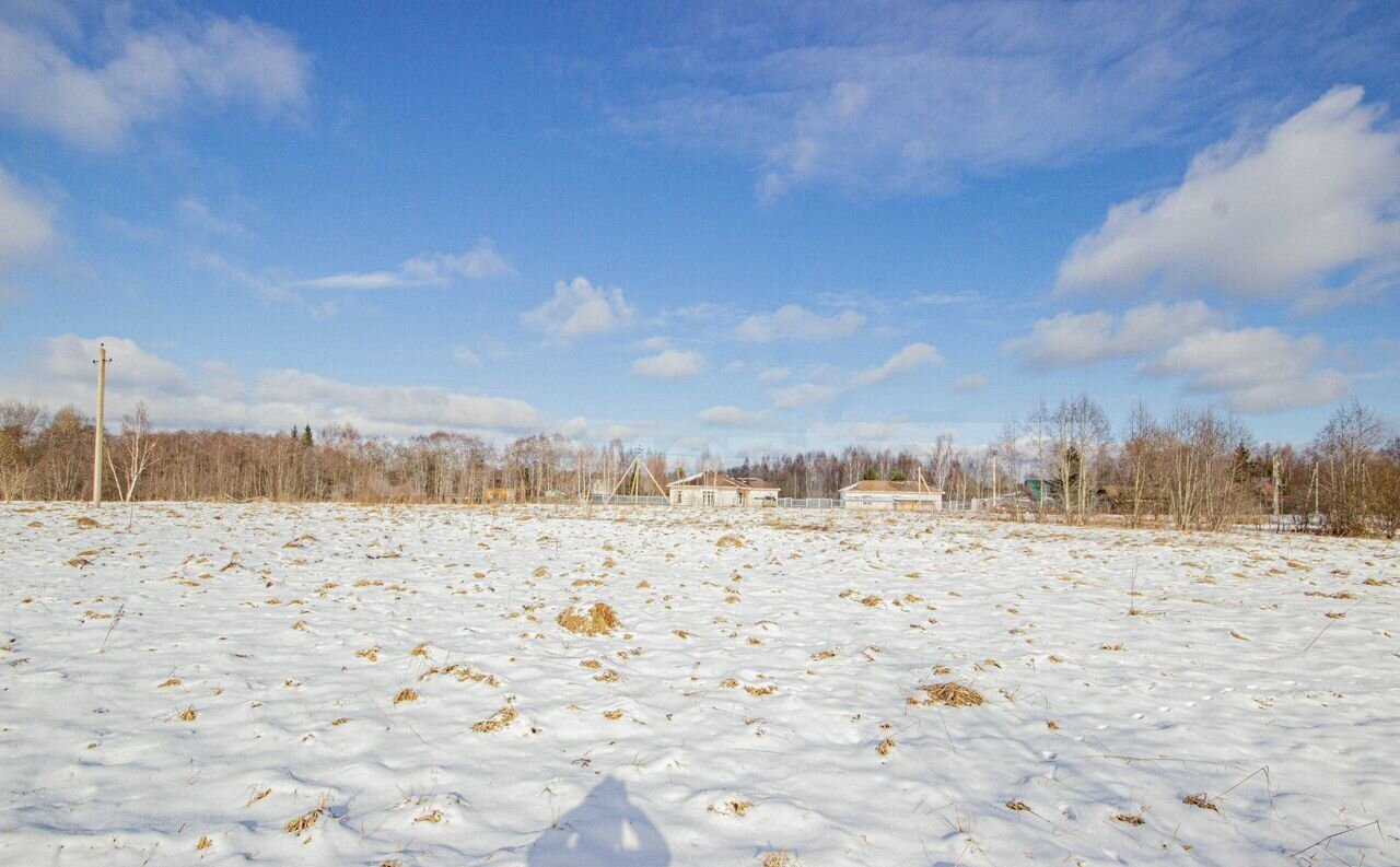 земля городской округ Рузский д Журавлёво 77 км, Руза, Новорижское шоссе фото 6