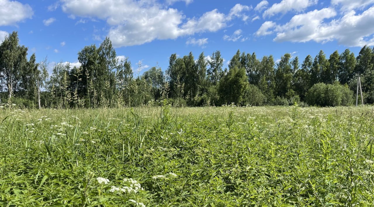 земля городской округ Дмитровский Школьник СНТ фото 1