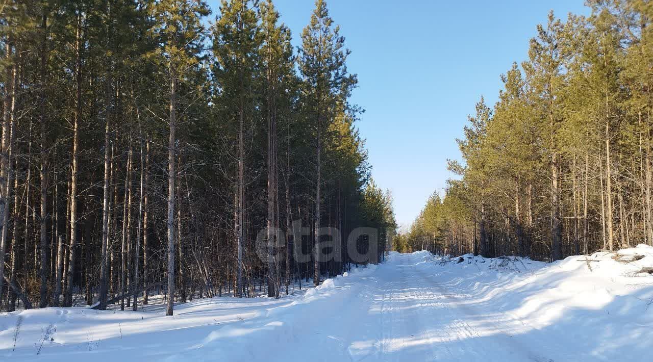 земля р-н Талицкий г Талица ул Молодежная фото 2