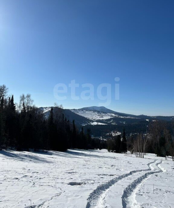 земля р-н Чемальский с Элекмонар ул Подгорная фото 7