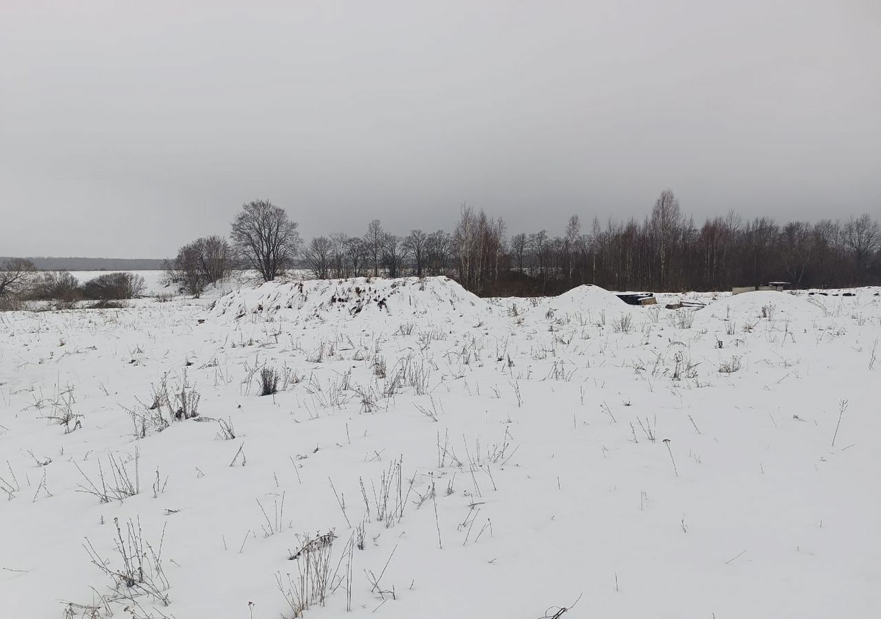 земля р-н Новгородский д Орлово ул Андреевская Борковское сельское поселение, Панковка фото 6