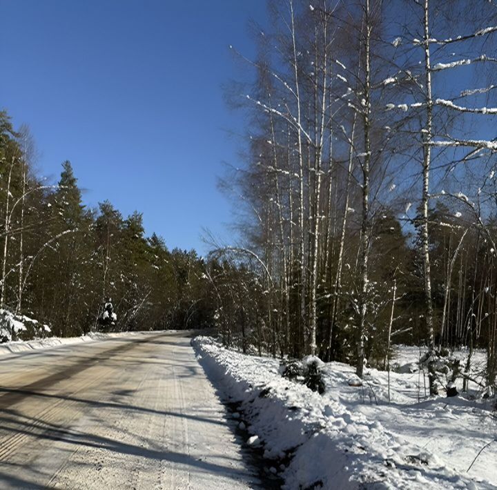 земля р-н Новгородский д Бараниха Савинское с/пос фото 2