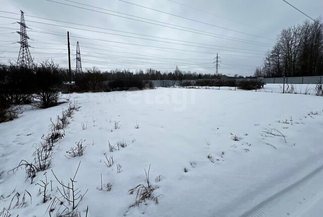 Содема, Виноградная улица, Вологда фото