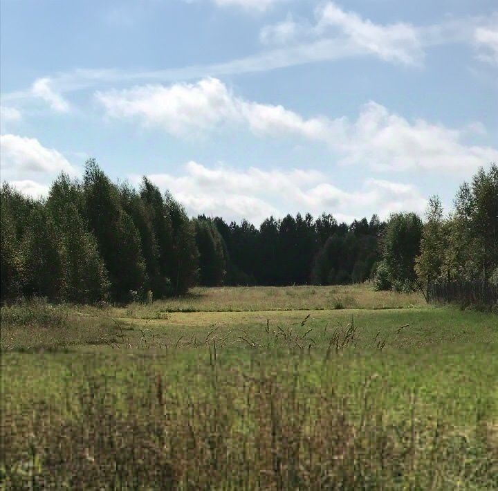 дом р-н Ветлужский д Кузнечиха Бор городской округ фото 2