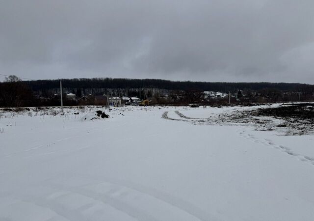 р-н Рузаевский п Левженский Ялга фото