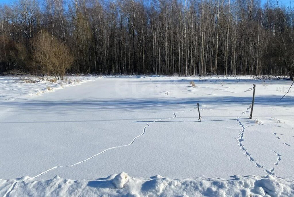 земля Заневское городское поселение, Ладожская, коттеджный посёлок Терра Парк фото 12