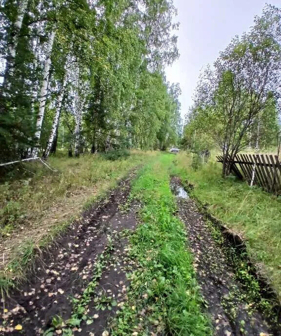 земля р-н Томский п Синий Утёс мкр Крутоярский 4 фото 2