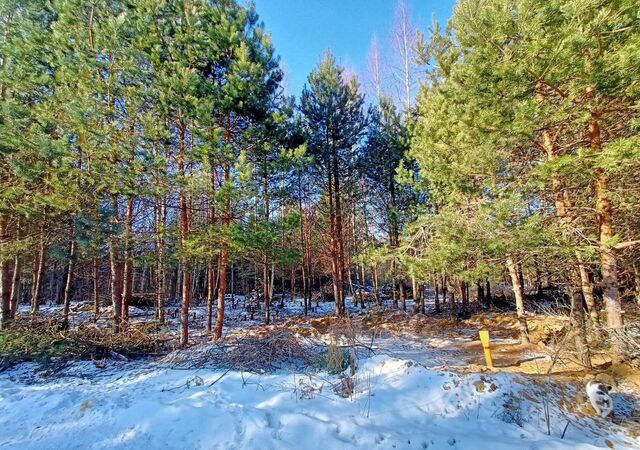 земля пер Волозин р-н Октябрьский фото