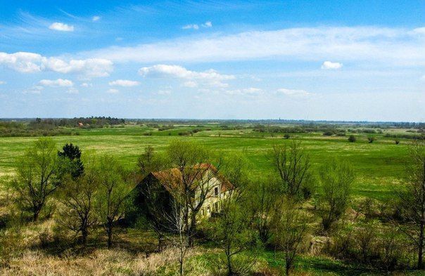 земля р-н Зеленоградский п Лужки Зеленоградск фото 2