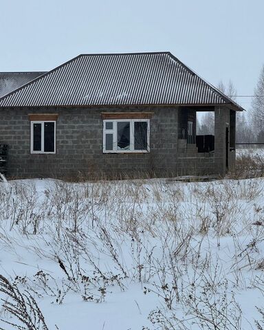 дом ул Зеленая Республика Татарстан Татарстан, Круглопольское сельское поселение, Набережные Челны фото