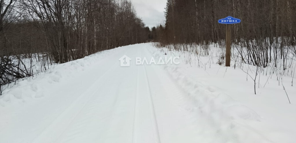 земля Кончезерское сельское поселение, СОТ Ивушка фото 3