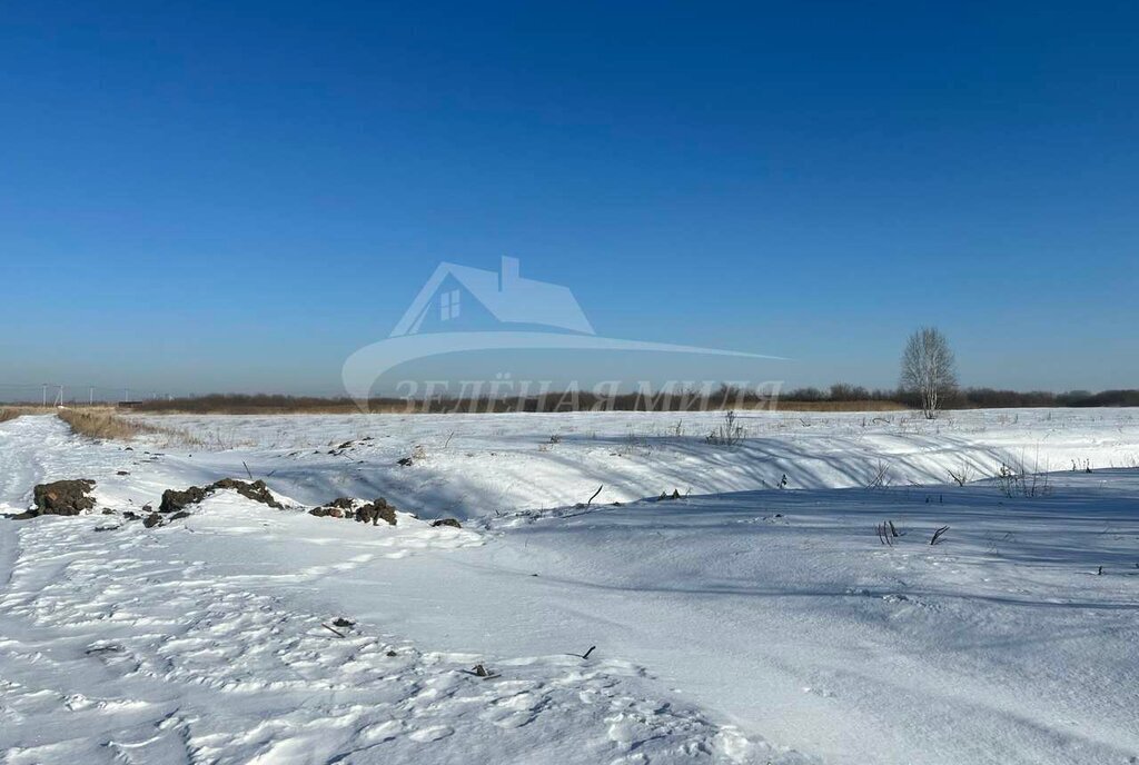 земля р-н Тюменский с Яр фото 4