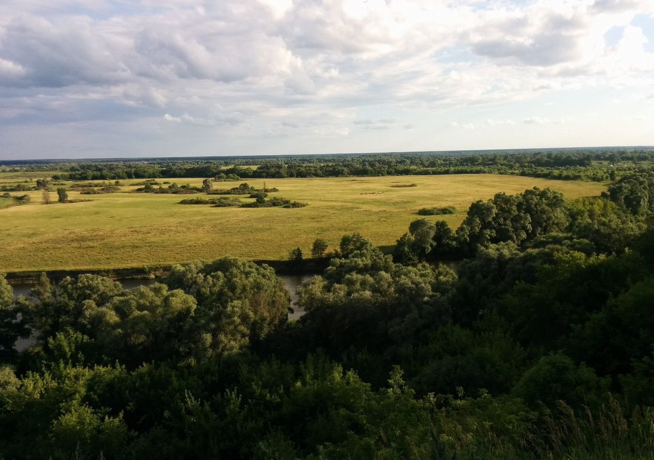 земля р-н Зеленоградский п Лужки Зеленоградск фото 5