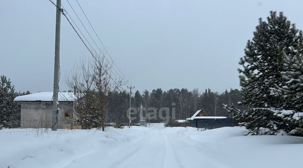 земля р-н Новосибирский снт тер.Сосновая роща Новолуговской сельсовет фото 3