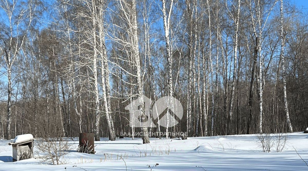 земля р-н Искитимский Морозовский сельсовет, Успех СПК фото 1