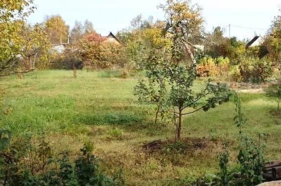 дом г Вологда снт Восток-3 21-я улица, садоводческое товарищество фото 4