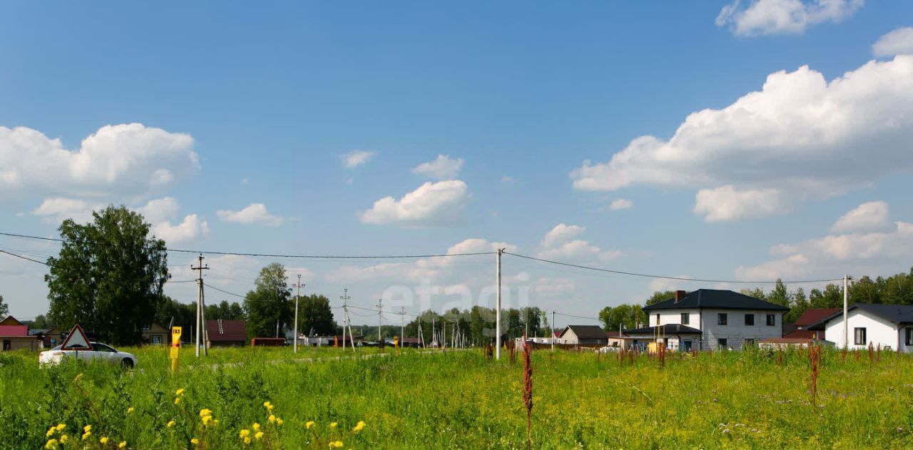 земля р-н Новосибирский Верх-Тулинский сельсовет, ул. Рябиновая фото 19