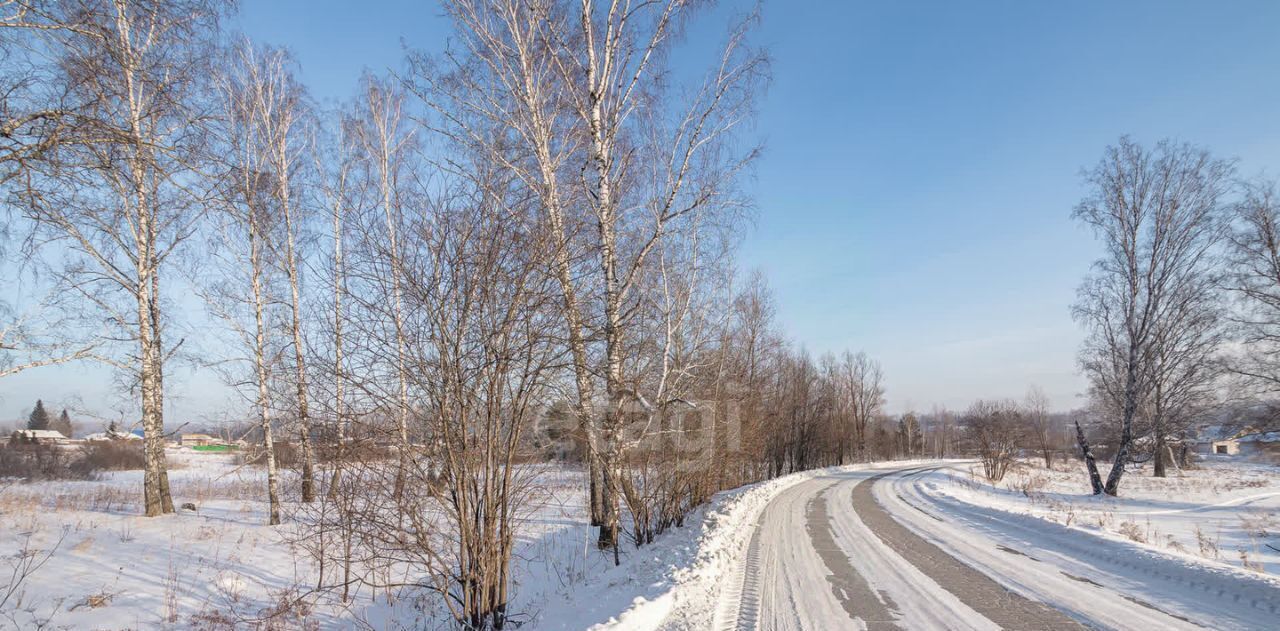 земля р-н Новосибирский с Барышево фото 9