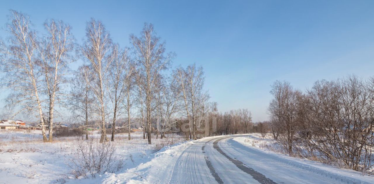 земля р-н Новосибирский с Барышево фото 11