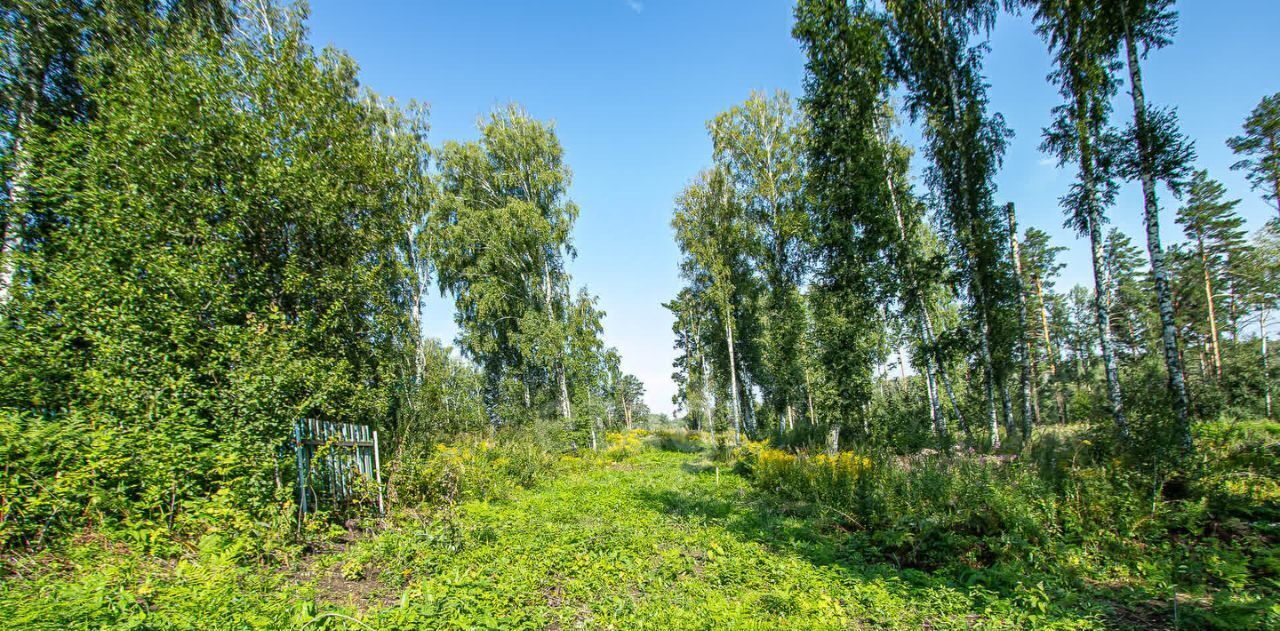 земля р-н Новосибирский снт Вера Барышевский сельсовет фото 10