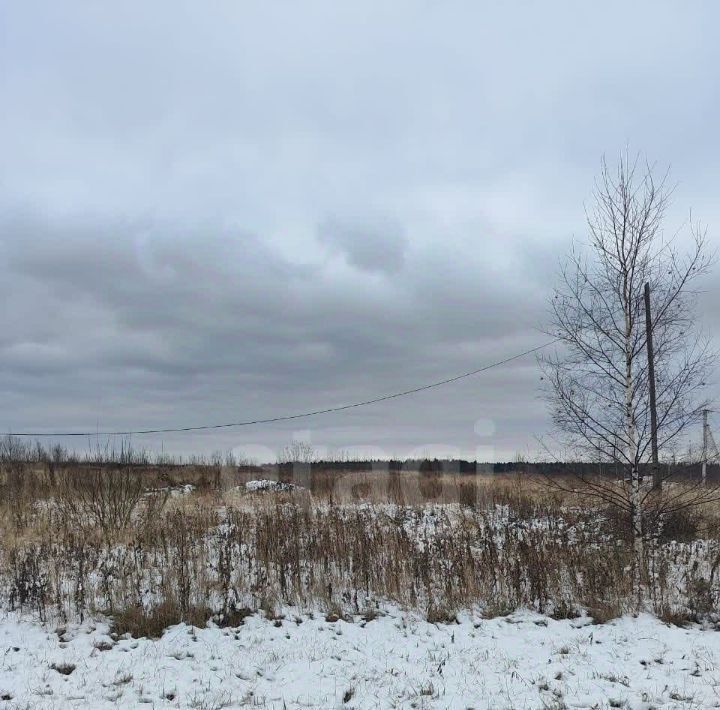 земля г Кострома п Волжский фото 1