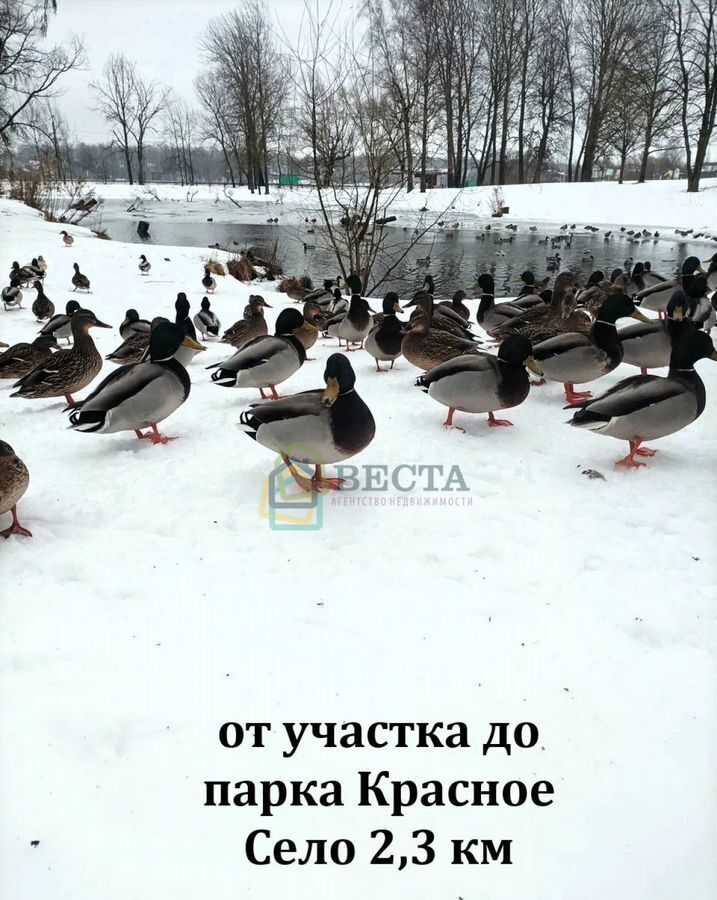 земля р-н Ломоносовский д Пикколово ул Измайловская 7 км, Виллозское городское поселение, Санкт-Петербург, Красное Село, тер Сергиево, Красносельское шоссе фото 12