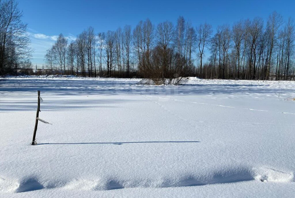 земля Заневское городское поселение, Ладожская, посёлок при железнодорожной станции Мяглово фото 11