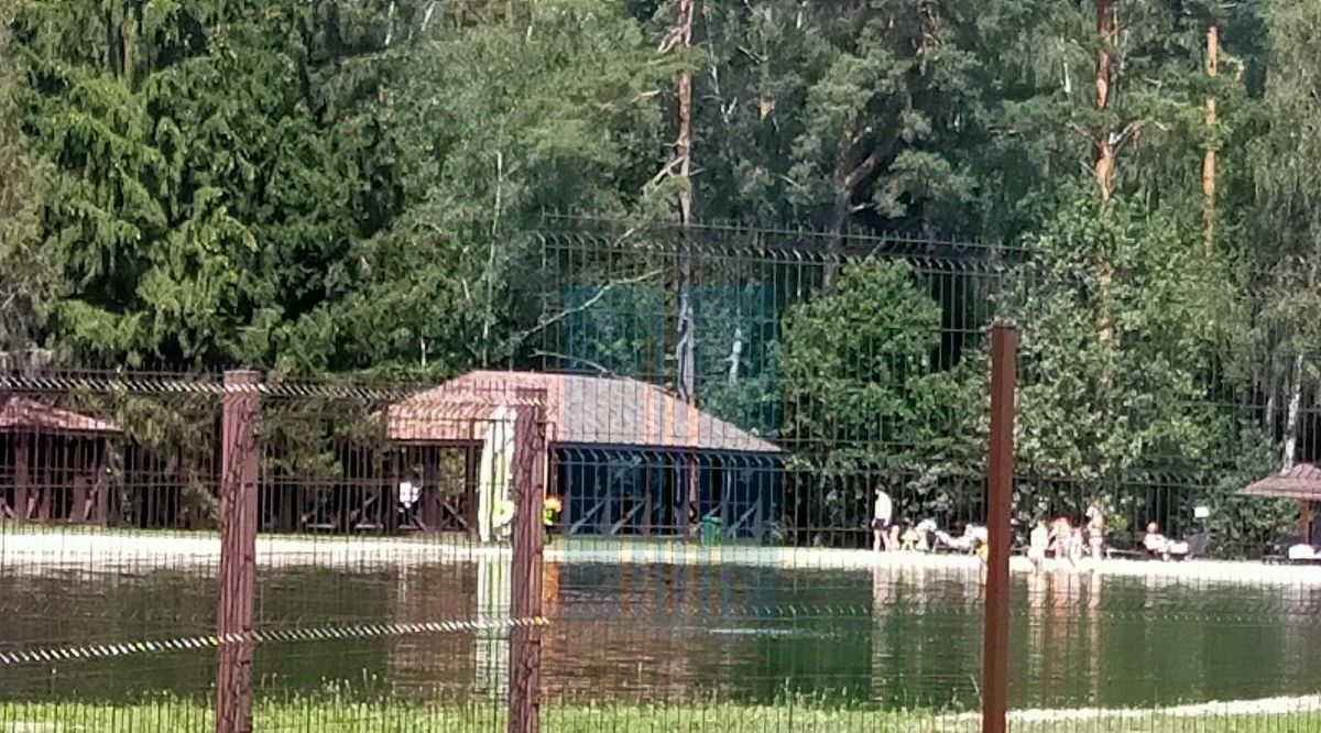 земля городской округ Ступино д Дубечино ул Центральная фото 18