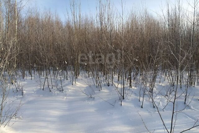 д Золотавцево ул Лесная фото