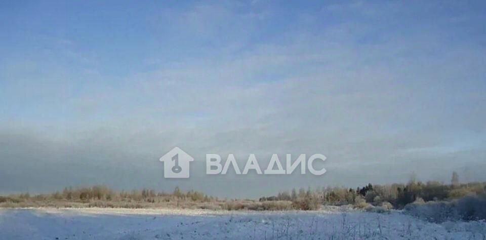 земля городской округ Коломенский с Чанки Коломна городской округ фото 7