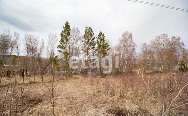 земля р-н Октябрьский снт Родничок фото