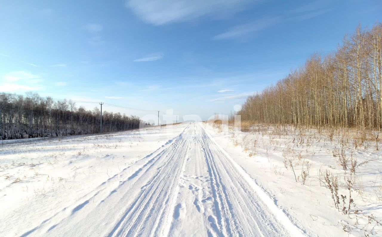 земля р-н Емельяновский с/с Элитовский сельсовет, Красноярск фото 1