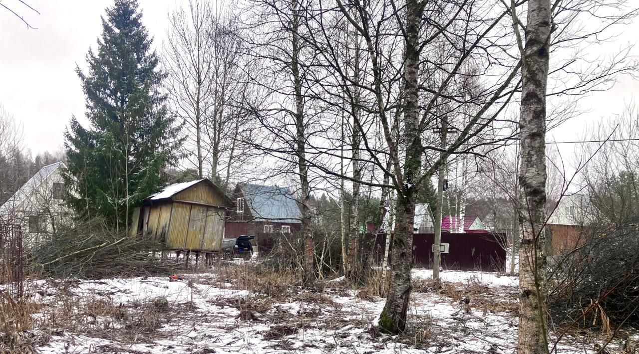 земля городской округ Рузский п Дорохово «Беларусь» фото 2