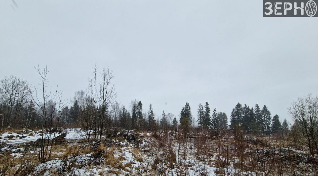 офис г Ярославль р-н Заволжский ул Яковлевская фото 6