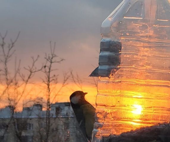 метро Новогиреево дом 4к/1 фото