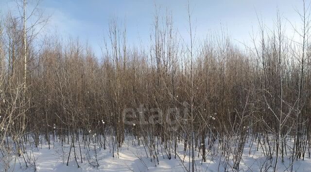 земля д Золотавцево ул Лесная фото