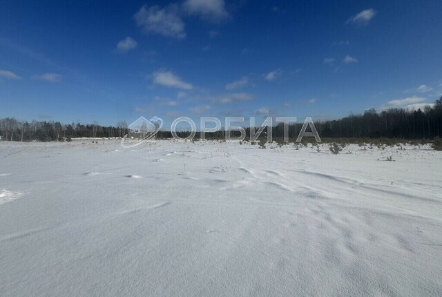 ул Центральная Бор фото