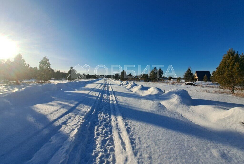 земля р-н Нижнетавдинский снт Березка фото 3